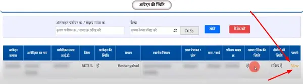 Mukhyamantri ladli behna Yojana Pavati Download